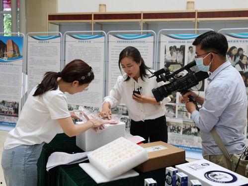 北京小画室爆料视频播放,揭秘艺术教育行业背后真相