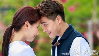 淘婚记全集在线观看,浪漫婚恋之旅，笑中带泪的甜蜜回忆  第3张